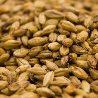 Weyermann® Barke® Munich Malt