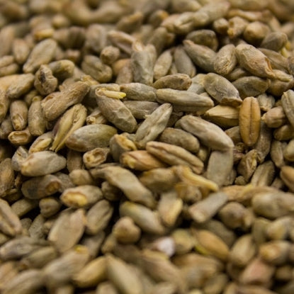 Crisp Rye Malt