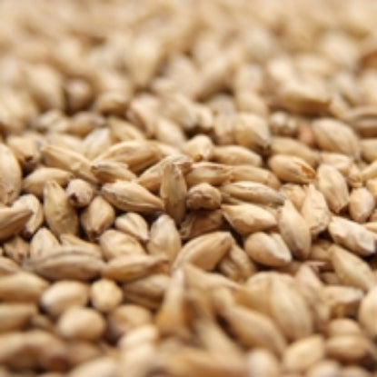 Weyermann® Bohemian Pilsner Malt