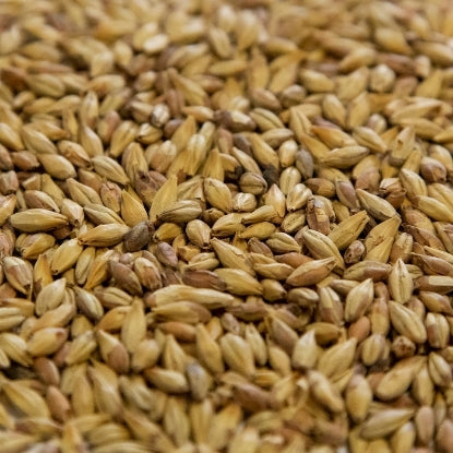 Dingemans Organic Biscuit® Malt