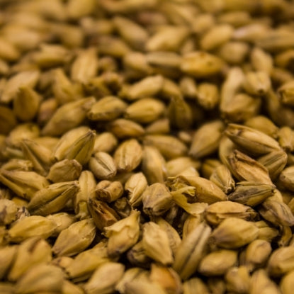 Weyermann® Barke® Vienna Malt