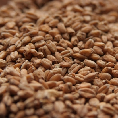 Rahr Red Wheat Malt