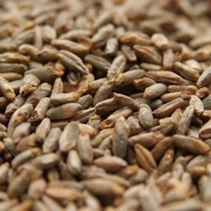 Weyermann® BIOLAND Organic Rye Malt