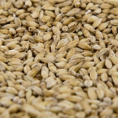 Gambrinus Pale Malt