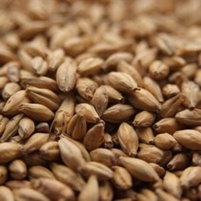 Crisp Organic Extra Pale Malt