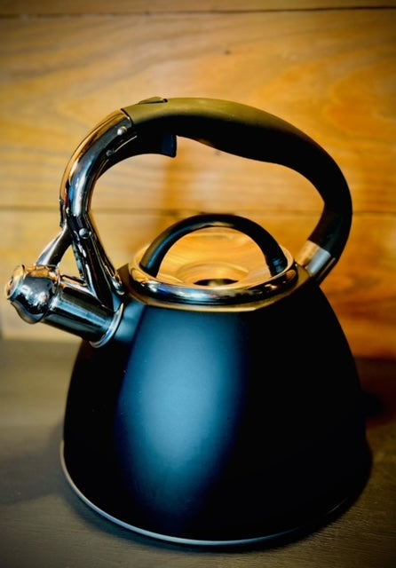 Kettle Style Whistling Teapot