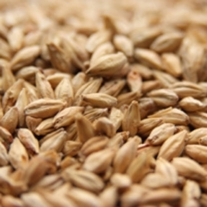 Weyermann® Munich Type 1 Malt