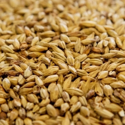 Dingemans Aromatic Malt