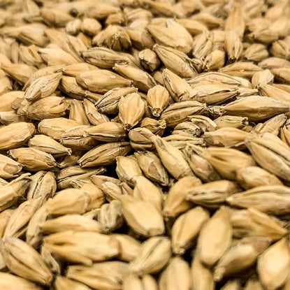 Rahr Dextrin Malt