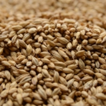 Briess Pilsen Malt