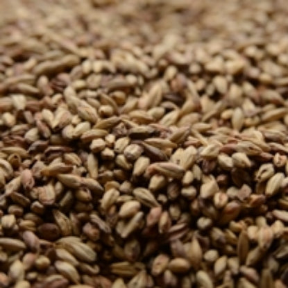 Briess Victory® Malt