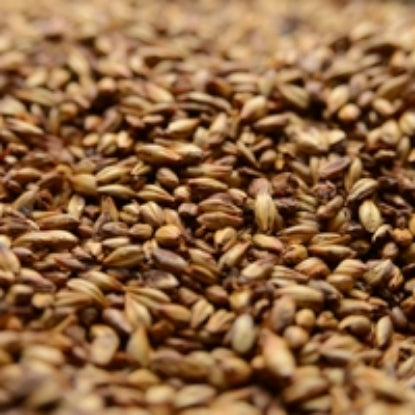 Briess Caramel 80L Malt