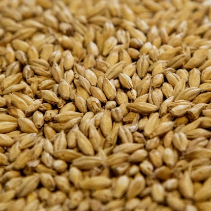 Dingemans Organic Pilsen Malt