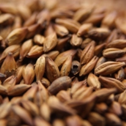 Weyermann® CARABOHEMIAN® Malt