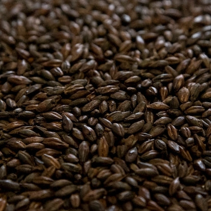 Dingemans De-bittered Black Malt